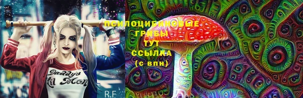 амф Алексин