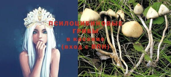 бошки Алексеевка