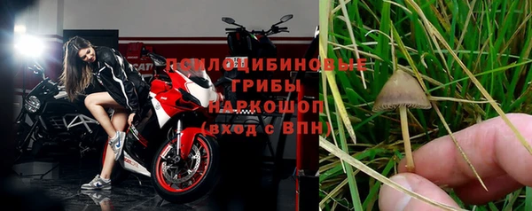 соль курить ск Алзамай