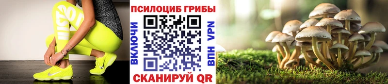 где найти   Сольвычегодск  Галлюциногенные грибы прущие грибы 
